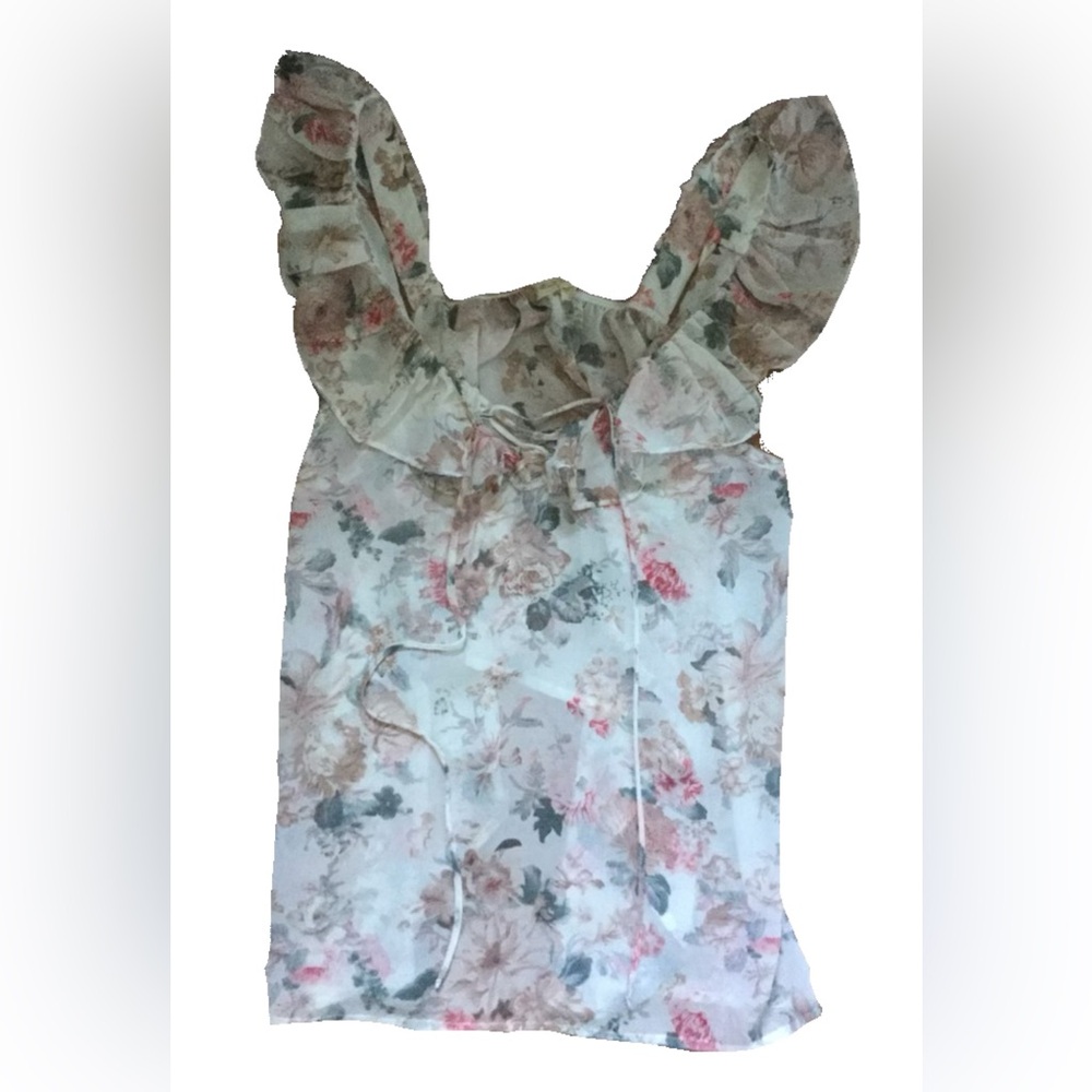 Altar’d State Sheer Floral Ruffle Sleeve Blouse Size Small